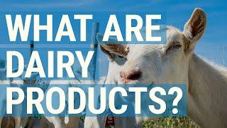 What are Dairy Products? We Break Down What Counts - and What Doesnt