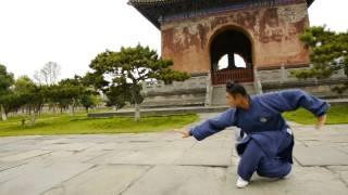 Wu Dang Fu Hu Quan -- Zhang Wen Gao from 张文高伏虎拳