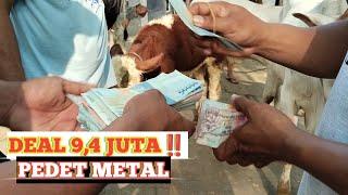 DEAL 94 JUTA PEDET METAL‼️Review Harga Pedetan di Pasar Munggi Semanu Gunungkidul‼️@dunialembu