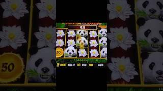 Lovely  Panda Magic Dragon Link #shorts #slots #cosmopolitanlasvegas