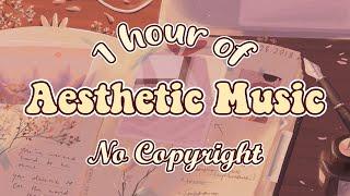 1 hour of Aesthetic Music  No Copyright