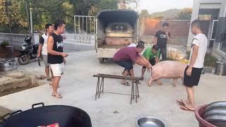 Pig Slaughter - Catch the pig and kill the pig
