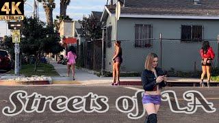 The Streets of LA - Figueroa Street - Episode 1  Los Angeles Ca. 4K