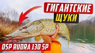 OSP RUDRA 130 SP ловит гигантских щук как ловить щуку на спиннинг на воблер рыбалка на воблер