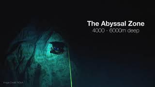 #DeepWeek 2020- Welcome to the Abyssal zone