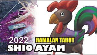 Shio Ayam Tahun 2022 Ramalan Tarot  Peruntungan Keuangan  AsmaraKarir Dan Kesehatan