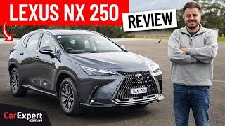 2024 Lexus NX inc. 0-100 braking & autonomy review