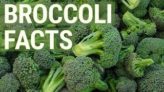 6 Healthy Facts About Broccoli You May Not Know About