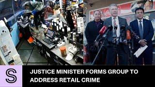 Justice Minister announces advisory group to tackle retail crime  Stuff.co.nz