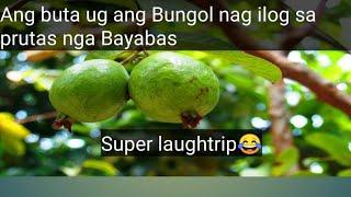 Ang Buta ug ang Bungol nag ilog sa prutas nga BayabasDear ate lane