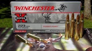 AMMO REVIEW  .223 Winchester 64 gr Power-Point