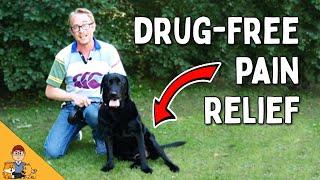 Treat Your Dogs Pain and Arthritis Without Drugs - Veterinarian explains