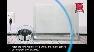 Real Test for Mouse Repeller