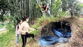 Mother And daughter Visip The Graden And encounter A cobras lair Being chased