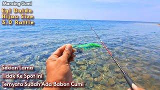 Cek spot lama ternyata cuminya sudah lumayan babon  Mancing cumi di pinggiran pantai siang hari