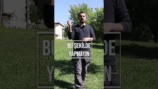 Köpeğimi En İyi Nasıl Eğitebilirim? En kapsamlı köpek eğitim videoları. # #dog #köpek #dogs #shorts