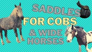 SADDLES FOR COBS & VERY WIDE HORSES... what kind of saddle do you need for the very wide horses?