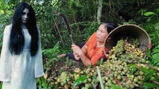 Single mother in danger in the forest - Harvesting and preserving natural fruits