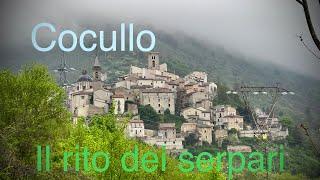 Cocullo   The ancient rite of snakes  Italy