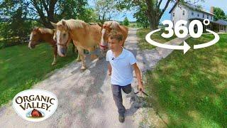 Amish Homestead Tour   360° Video VR  Organic Valley