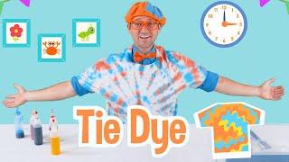 Blippi Learns About Colors For Toddlers and Makes Tie Dye T-Shirts  Educational Videos For Kids