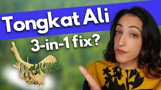 The holy grail for ED Low T and Infertility?  Tongkat Ali Longjack Benefits