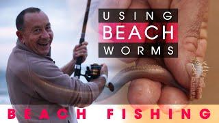 Fishing Off The Beach Using BEACH WORMS 🪱🪱🪱🪝