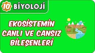 Ekosistemin Canlı ve Cansız Bileşenleri  10. Sınıf Biyoloji