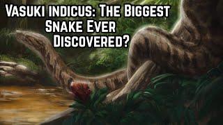 Vasuki indicus The Biggest Snake Ever Discovered?