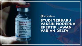 Studi Terbaru Vaksin Moderna Efektif Lawan Varian Delta  Katadata Indonesia