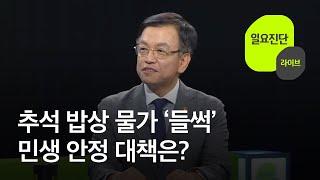 추석 밥상 물가 ‘들썩’…민생 안정 대책은? 일요진단 라이브  KBS  2024.09.08.