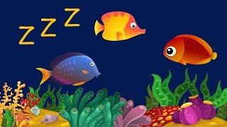Música Para Bebê Dormir com Relaxante Som de Água   Animação com Peixes