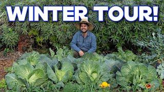 Touring My Winter Garden  Vegetable Uses and Growing Tips