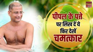 पीपल के पत्ते पर लिखे दे ये फिर चमत्कारधन की होगी बरकत  Pulak Sagar Maharaj Ji  Latest Pravachan