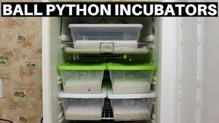 How To Setup DIY Ball Python Incubators - Benjamins Exotics