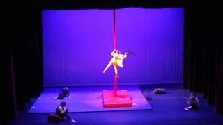 SHOW Circus Studio at First Night 2020 Aerial Fabric