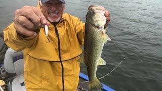 Jigs and Small Spoons Fishing for White Perch And Bass