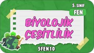 Biyolojik Çeşitlilik  tonguçCUP 3.Sezon - 5FEN10 #2024