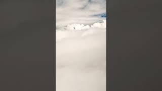 Falling Through Clouds #Skydiving #Clouds #Shorts