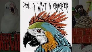 Polly Want A Cracker Official Music Video - Dusty Douglas