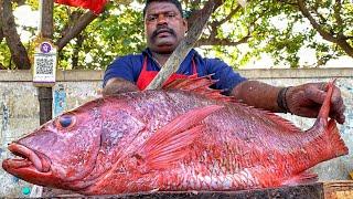 KASIMEDU  SPEED SELVAM  RED SNAPPER FISH CUTTING VIDEO  4K VIDEO  KM FISH CUTTING