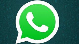 Всё о СТАТУСЕ в WhatsApp  Как создать переслать и удалить статус  Как отвечать на статусы друзей