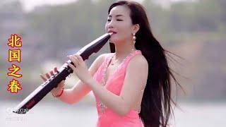 Chinese Music  A song Spring in the North beautiful melody soothing sound