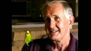 Dougie- The Talking Budgie. Burkes Backyard.