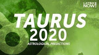 Taurus 2020 Horoscope Tarot and Astrology Predictions  Latinx Now  Telemundo English