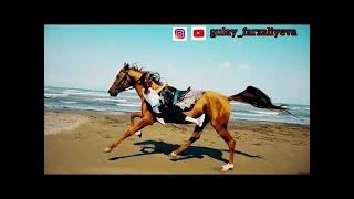 Little girl at Beach ️ with her beautiful horse  video 2