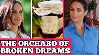 Whats REALLY Holding Up Meghan Markles American Riviera Orchard Launch?