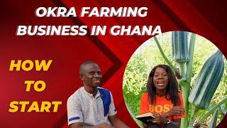 Introduction to okra farming in Ghana from scratch how to invest and make profit from okra farming