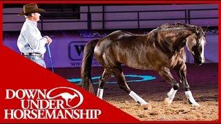 Clinton Anderson with his amazing horse Mindy in Vegas 2010