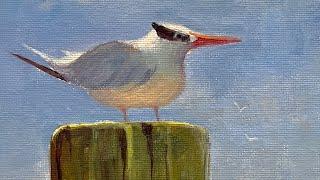 Painting a Seabird in Acrylics Full tutorial plus tips and tricks